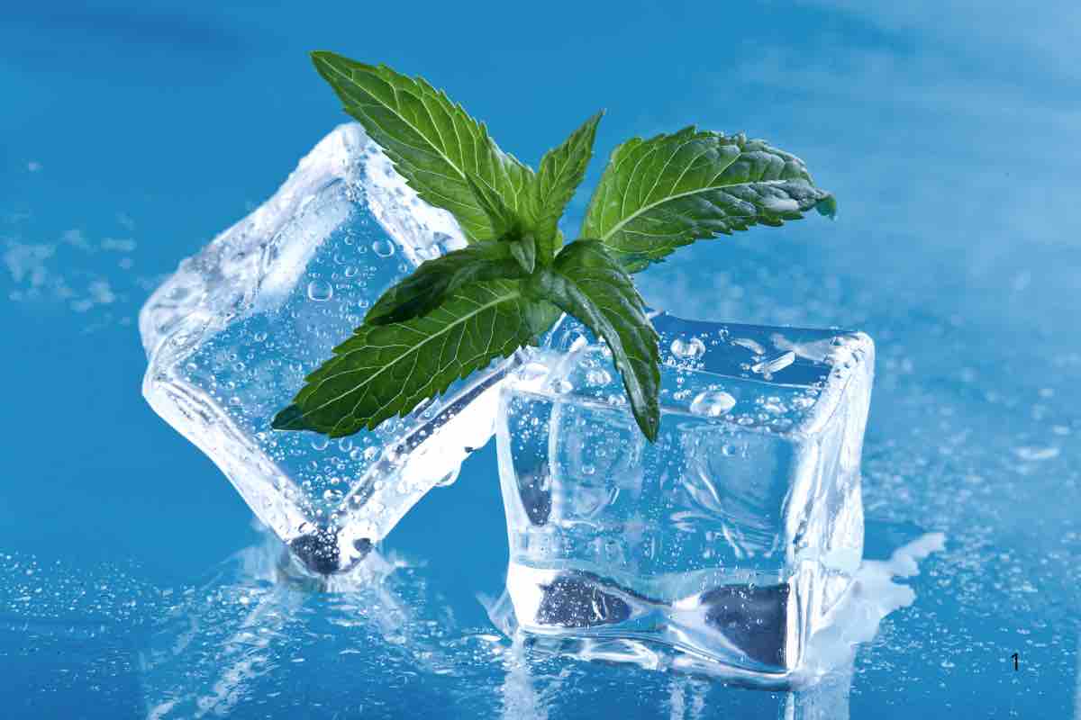 menta