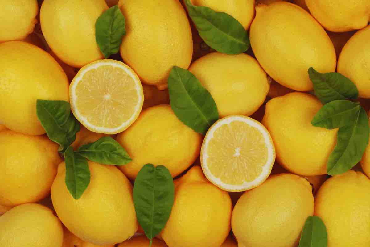 Limoni