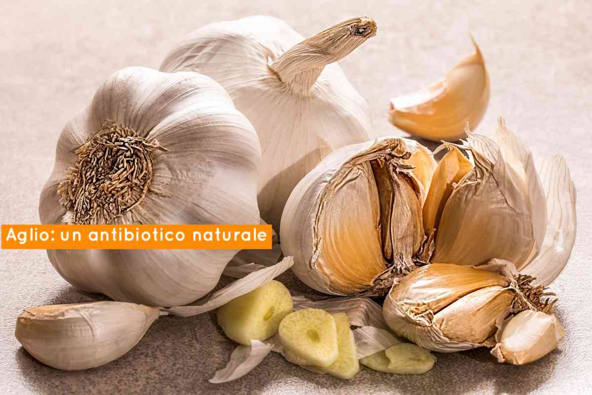 Aglio rimedio naturale.