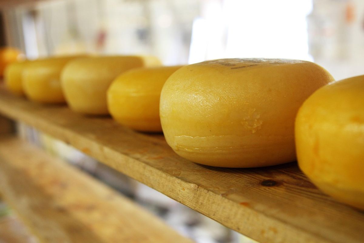Formaggio costoso.