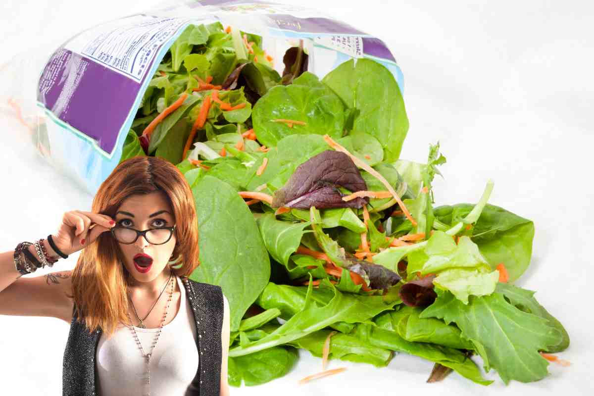 Insalata