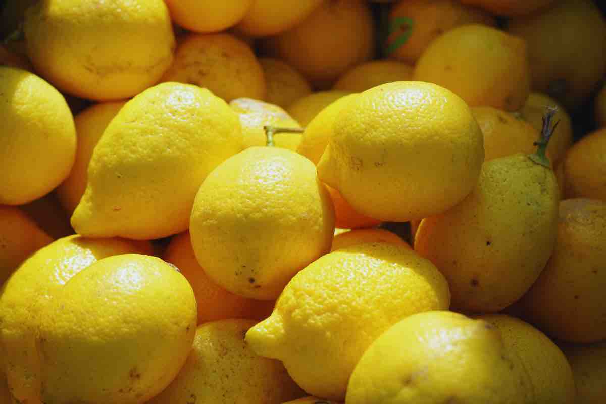 Limoni