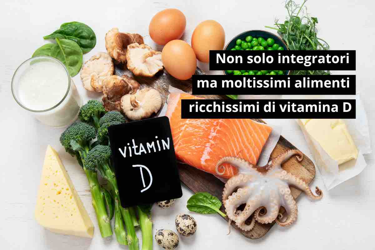 Cibi