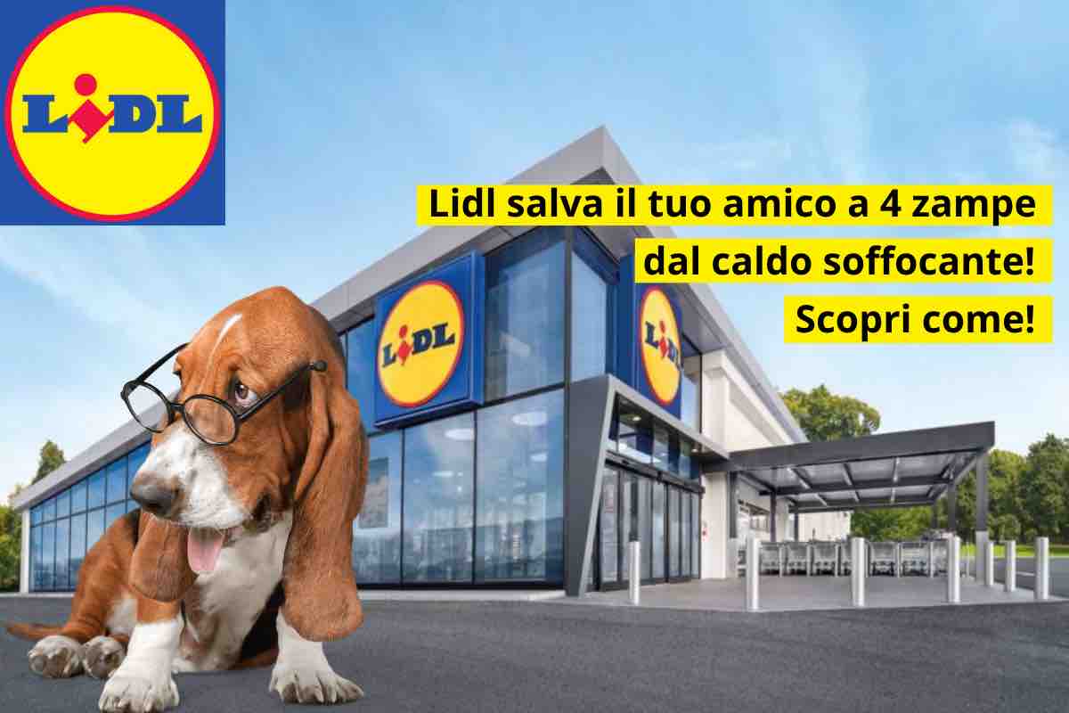 Lidl
