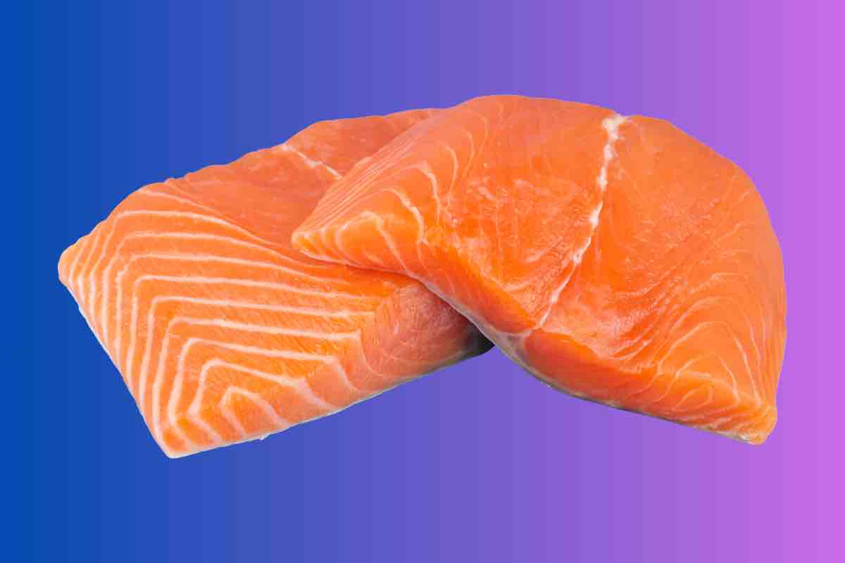 Salmone fresco