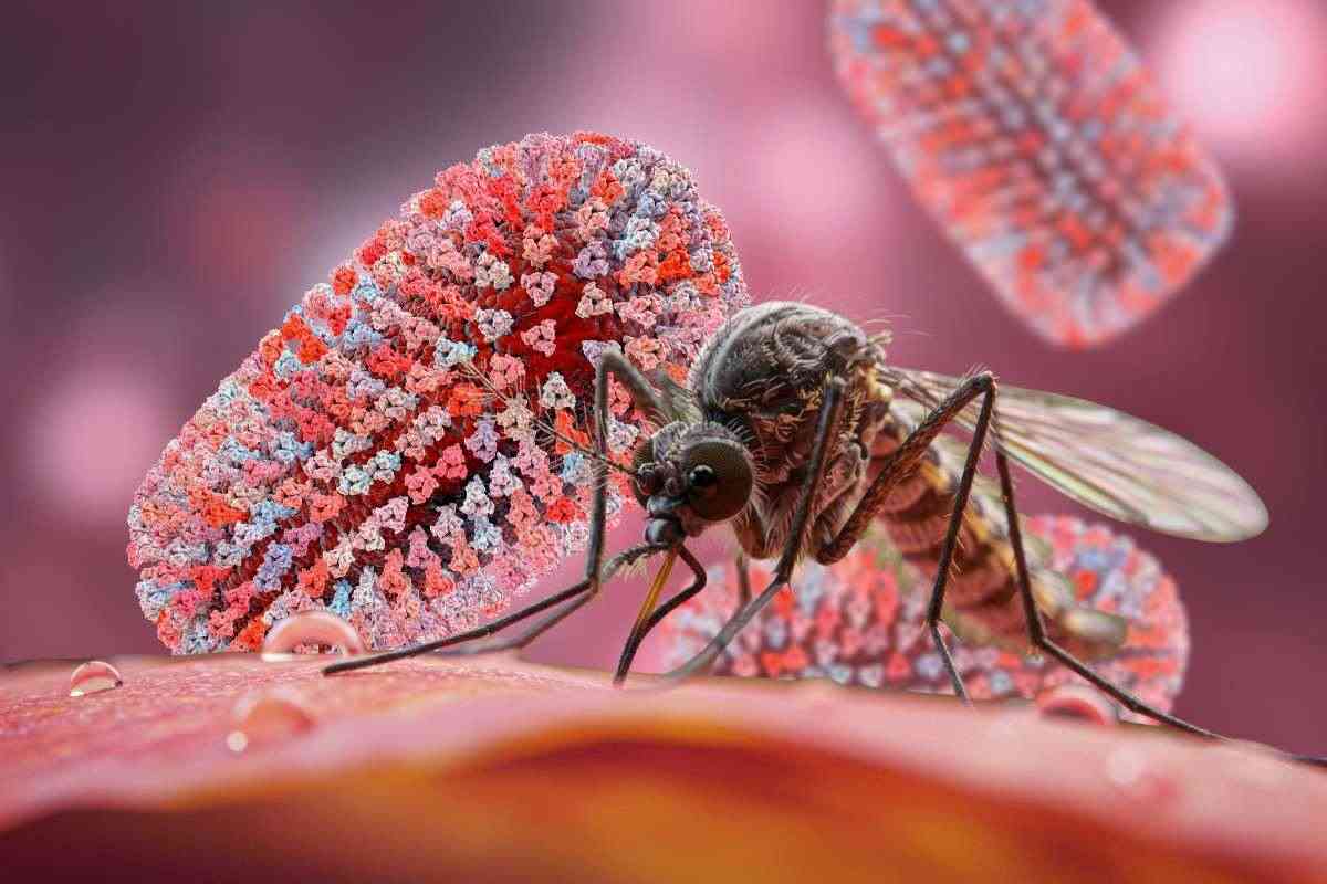 virus zanzare